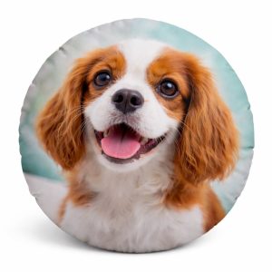 Almofadas Personalizadas com Fotos