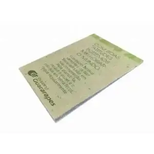 Card Papel Semente