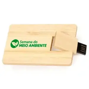 Pen Drive Bambu Card