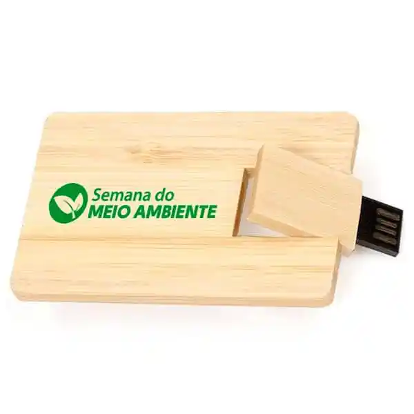 Pen Drive Bambu Card