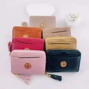 Porta Cartão Feminino