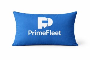 Almofadas Personalizadas