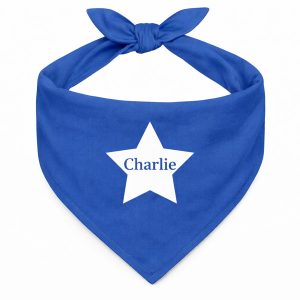 Bandana Personalizada Azul Estrela Com o Nome do Pet