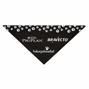 Bandana Triangular Personalizada