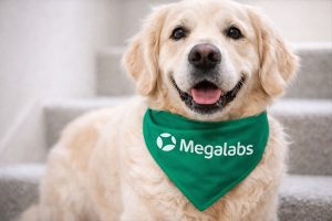 Bandana para Cachorro Personalizada 2