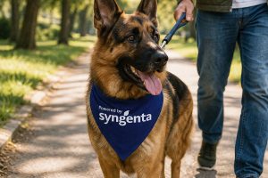 Bandana para Cachorro Personalizada 3