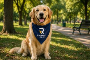 Bandanas Personalizadas