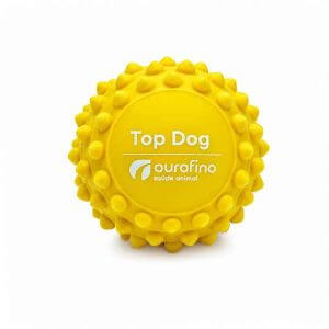 Bolinha Brinquedo PET Personalizada