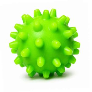 Bolinha Cravo para Cachorro