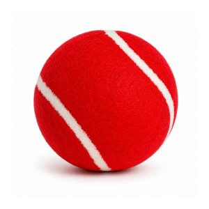 Bolinha de Tennis de Praia Colorida Personalizada