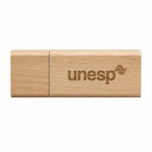 Pen Drive 4GB Ecológico Personalizado